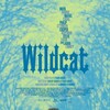 Wildcat 2023 720p BluRay x264-KNiVES thumb