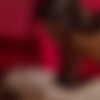 [ultrafilms.com] Hayli Sanders & Alexis Crystal / Squeezing Out All The Juices of Lust [2022-11-17, Brunette, Fetish, Lesbian, Lingerie, Masturbation, Pussy Licking, Shaved Pussy, Stockings, 2160p, SiteRip] thumb