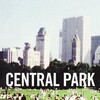 Central Park [1989] / H264 / MKV / WEB / 1080p / AAC / Subs thumb