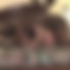 theslutsnextdoor.com - Tiffany thumbnail