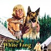 Challenge to White Fang [1974] / H264 / MKV / Blu-ray / 1080p / FLAC / Italian / Subs thumb