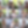 [Katya-Clover.com] - 2019-11-25 - Katya Clover - Get Ready - IMAGESET thumb