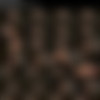 [Dungeoncorp/SocietySM] Katie Jordin More than Willing Part 1-5 thumb
