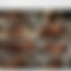[Frolicme.com] Alexis ( ROMP / 14.05.16) [2016 ., All sex] thumbnail