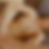 [AssTraffic.com / PerfectGonzo.com] Taissia Shanti (12886 / 25.04.14) [2014 ., anal sex, ass to mouth, cumshot facial - single, deep throating, gapes, orgasm, 1080p] thumb