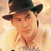 A Walk in the Clouds [1995] / H264 / MKV / Blu-ray / 720p / DTS / Subs / Scene / CiNEFiLE thumb