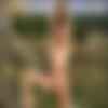[MPLStudios.com] 2015-10-17 Claudia - Organic [87  / Hi-Res] thumb