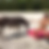 [ALSScan.com] Talia Mint (Chopper Girl BTS) 4K [2019-08-27, Solo, Posing, Outdoors, Photoshoot, BTS, Gaping, Spreading pussy, Small tits, Toys, Pissing, Donkey, 2160p] thumb