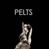 Pelts [2006] / H264 / MKV / Blu-ray / 1080p / DTS thumb