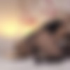 [Thelifeerotic.com] 2019-04-21 Lovita Fate - Sext Me 2 [Masturbation, Toys, Solo] [1080p] thumb