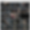 [InfernalRestraints.com] Jan 13, 2012: Restless | Zayda J |Sister Dee [2012 ., BDSM, Bondage, Humilation, Torture, Toys, HDRip, 720p] thumb