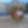 [InTheCrack.com] #1498 Cherie DeVille [2019 ., Solo, Close ups, Toys, Indoor, 1080p] thumb