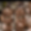 vixen 1080p pack one 2016 thumb