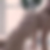 [PlayboyPlus.com] 2020 Alina Lopez - Luminous Glow 24.01.20 [Erotic] [1080p] thumb