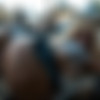 [ART]     Neroblondee / Collection Neroblondee (Neroblondee) [AI, Real Porn, Anal, BDSM, Sex, Big Ass, Big Tits, Giant Tits, Sexy Girls, Milf, Exbitionism, Young, Public, Outdoor, Old] [PNG] thumb