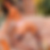 [Art-Lingerie.com] 2013-10-17 Michaela B (aka Michaela Isizzu, Kalena A) - #5481 [Solo, Posing] [720p, SiteRip] thumb