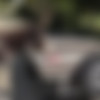 [ALSScan.com] Talia Mint (Chopper Girl BTS) 4K [2019-08-27, Solo, Posing, Outdoors, Photoshoot, BTS, Gaping, Spreading pussy, Small tits, Toys, Pissing, Donkey, 2160p] thumb