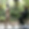 Western Ponygirls / -   (ShadowPlayers.com) [2006 ., Bondage, Fetish, Ponygirl, Ponyplay, Domination, Outdoors, Public, SiteRip] thumbnail