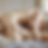 [VivThomas.com / MetArt.com] Anissa Kate, Lucy Heart (Lesbian Stories Episode 2 - Fiction) (Apr 21, 2017) [2017 ., 69er, anal fingering, bedroom, blonde, brunette, cunnilingus, fingering, kissing, lesbian, 1080p] thumb