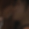 Video Assembly (Teehee3D) [2025, 3DCG, Animated, Parody, Oral sex, Lesbian, Vaginal sex, Voiced, WEB-DL] [1080p] thumb