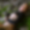 Domthenation.com (44) [FullSiteRip on 2022.09.04.,] [ BDSM, Anal, Bondage, Rimming, Torture, Spanking, 2048x858, SiteRip] thumb