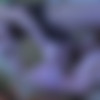 [FERRONETWORK.com / StraponPower.com] Rosa, Silvester, Hubert /g567 [03.06.2012, Femdom, Russian, Female domination, Stockings, StrapOn, Anal, SiteRip, 720P] thumbnail