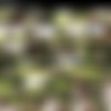 [TheEnglishMansion.com] Video Pack (2018 Siterip) [191 Videos] thumbnail