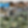 [Jocobo.com] Police Officer in Distress + Private Investigator in Distress + Suspended Detective [1080p] thumbnail