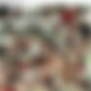 Rocco Siffredi roccosiffredi.com Siterip 2014 thumbnail