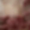 [domingoview.com] 2012.04.26 Jenara A - Jenara [Solo, Masturbation] [3000*2000, 151] thumb