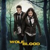 Wolfblood S04 WEBRip EAC3 2 0 1080p x265-iVy thumb