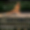 Hegre.com 2018-08 Pictures Siterip (27 picsets) thumb