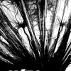 Exte: Hair Extensions [2007] / H264 / MKV / Blu-ray / 1080p / DTS / Japanese / Subs thumb