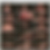 [CumBots.com / DungeonCorp.com] Ashley Graham (2012.04.23 / Soaking Wet) [2012, BDSM, Bondage, Toys, SiteRip] thumb