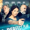A Perfect Plan 2020 1080p WEBRip DDP 5 1 H 265 -iVy thumb