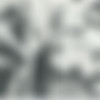 Raff 15 [All Sex] [1970, , JPG] thumb