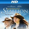 Midnight Stallion 2013 GER BluRay Remux 1080p AVC DTS-HD MA 5 1-DIESEL thumb