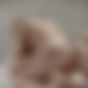 [TheWhiteBoxxx.com / LetsDoeIt.com] Zazie Skymm & Amaris - Cum Join Me [2019.01.19, Blonde, European, Lesbian, Sex Toys, Art, Couple, Erotica, Fantasy, Fingering, 1080p] thumb