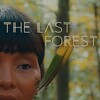 The Last Forest [2021] / H264 / MKV / WEB / 1080p / AC3 / Portuguese / Subs / FF thumb