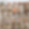 [straplezz.com] Strapless Dildo Siterip 2019/10/04 188 Clips & 188 Images thumb