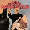 The Evil of Frankenstein [1964] / H264 / MKV / Blu-ray / 1080p / FLAC / Subs thumb