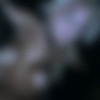 [InfernalRestraints] Isn't it Romantic? - London River (02.15.2019) [720p] thumb