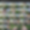 [Cosmid.net] SiteRip_February 2019_1080p thumbnail