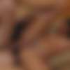 Wicked.com 19.09.12 Alexis Tae - Sole Mates thumbnail