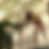 [RylskyArt.com] 22-03-2017 Astrud - P.S. Para Sempre [Erotic, Solo, 1080p] thumb
