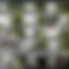 Julie-Skyhigh.com Video Siterip thumb