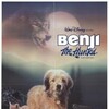 Benji the Hunted 1987 1080p WEB H264-DiMEPiECE thumb