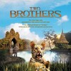 Two Brothers 2004 1080p BRRip DDP 5 1 H 265 -iVy thumb