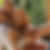 [21EroticAnal.com / 21Naturals.com / 21Sextury.com] Doris Ivy ( The Artistess of Anal / 410004 / 06.06.15) [2015 ., anal, blonde, blowjobs, facial cum, one on one, teen, 1080p] thumb