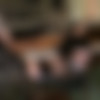 [InfernalRestraints.com] 1020 - The Cabin (INSEX - Remastered) (27.08.2021 .) [2021 ., BDSM, Bondage, Dildo, Vibrator, Hooded, Tits Torture, Outdoor, Flogging, SiteRip, 1080p] thumb